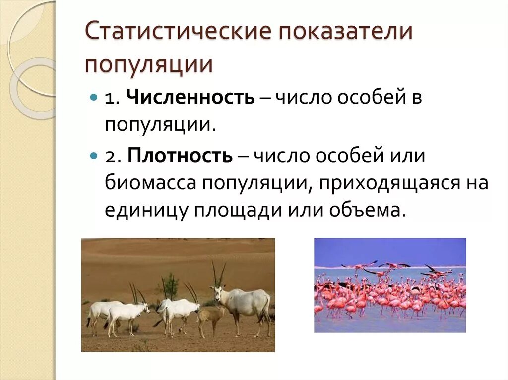 Популяция презентация. Презентация на тему популяция. Статистические параметры популяции. Структура популяции. Популяция характеризуется структурой