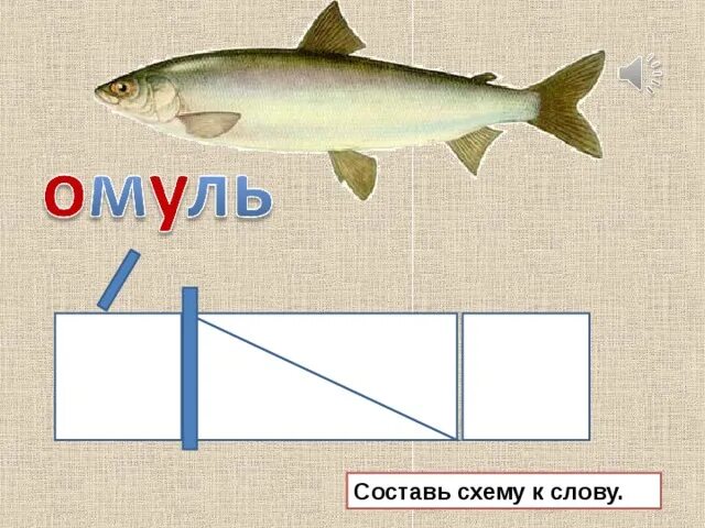 Слова рыба ответы. Схема слова рыба. Омули звуковая схема. Звуковая схема слова рыба. Омуль чертеж.