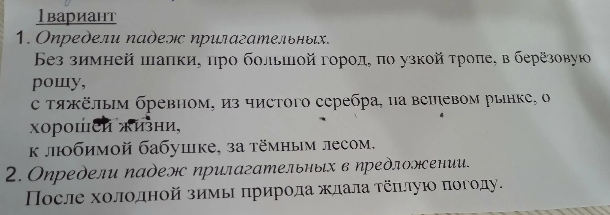 Определи падеж прилагательных по зимнему лесу