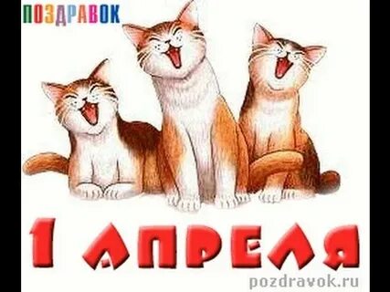 С 1 апреля картинки с котами