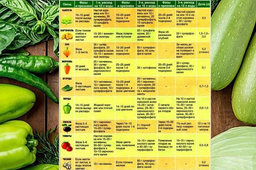 Подкормка огурцы помидоры перец. Таблица подкормок овощей органическими удобрениями. Удобрения и таблица внесения удобрений для овощей. Удобрения для овощных культур таблица подкормки. Таблица подкормки огородных растений.