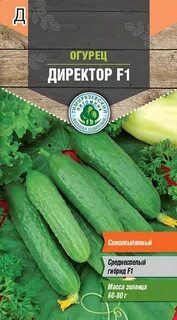 Огурец сорт директор описание
