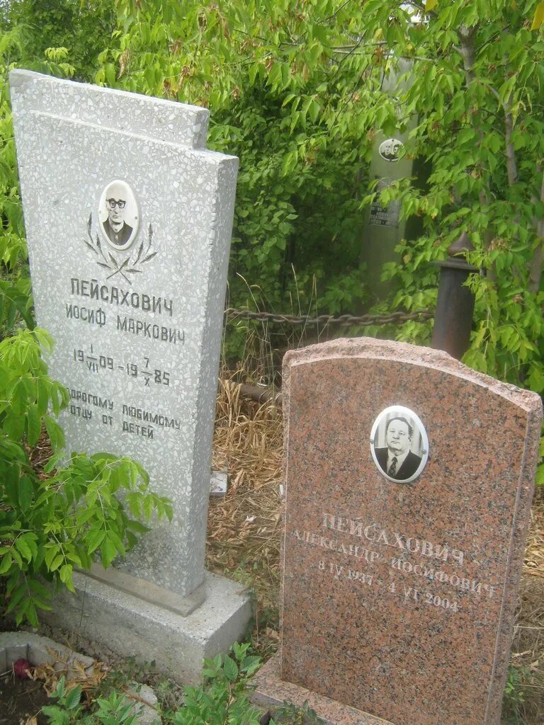 Иосиф маркович. Пейсахович. иргер иосиф маркович. борис пейсахович историк. мельник блихарский александр иосифович.