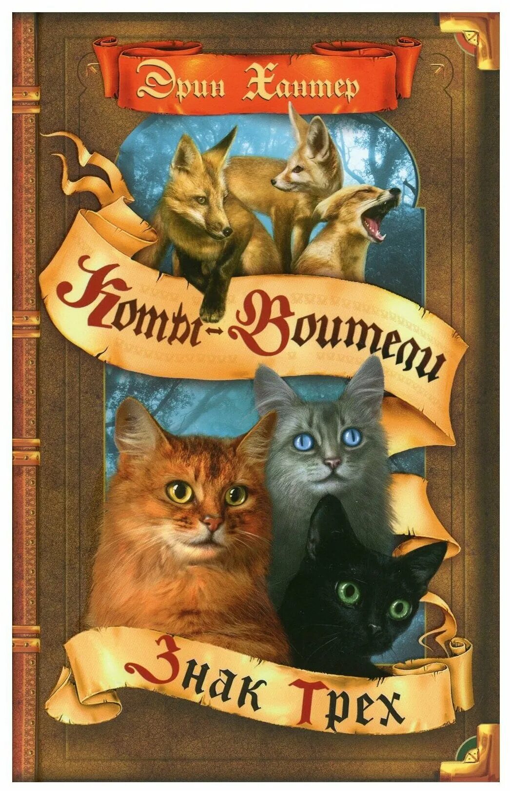 эрин хантер коты воители все книги. эрин хантер коты воители. коты воители порядок чтения. коты-воители эрин хантер книга. э хантер коты воители.