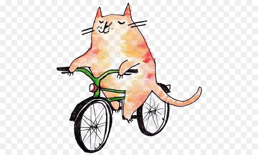 Cat bike. Котик на велосипеде. Кот велосипедист. Смешные рисунки с велосипедом. Кот едет на Велике.