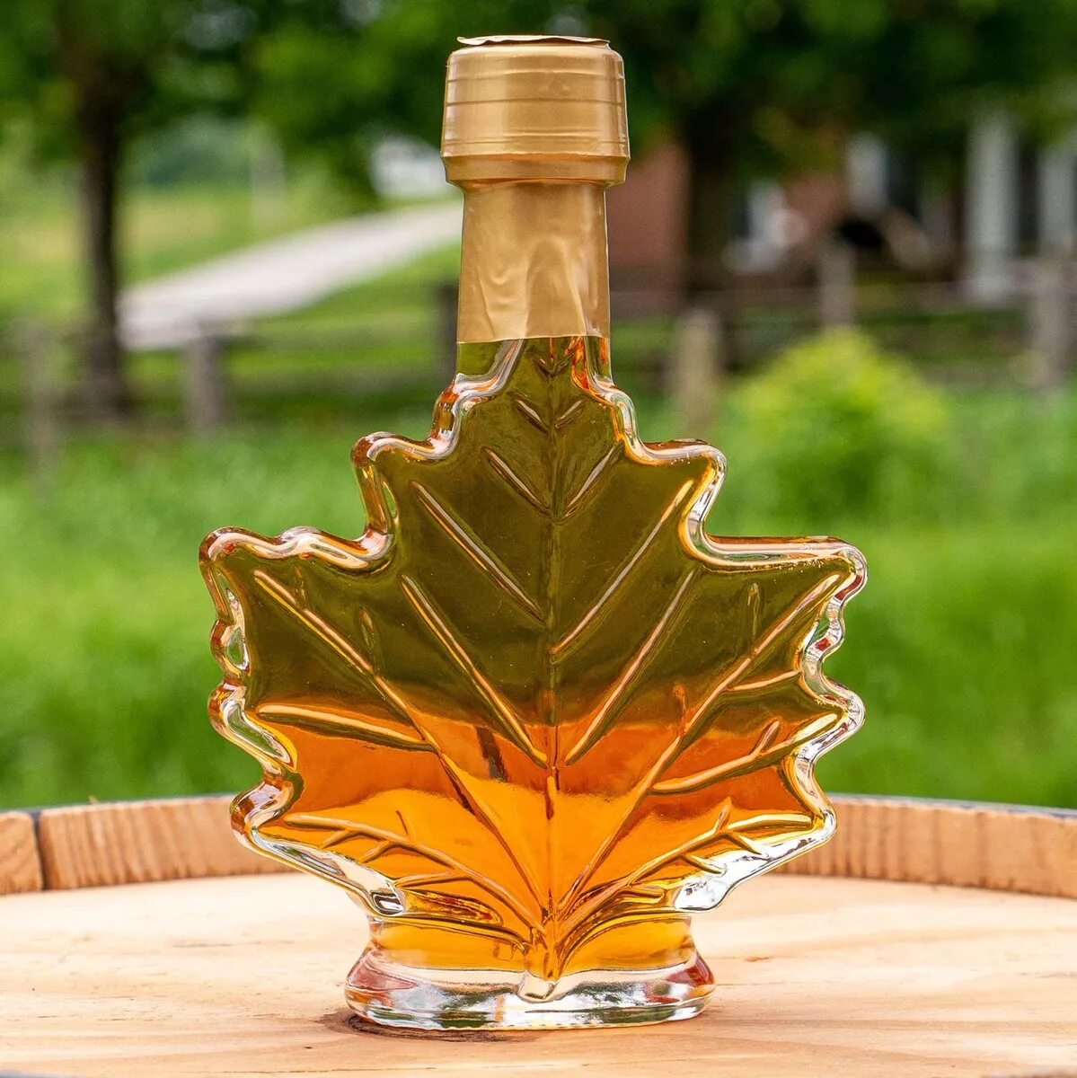 Полезные свойства кленового сока. Кленовый сироп Maple Syrup. Кленовый сироп Канада. Кленовый сироп Мэйпл. Вермонт кленовый сироп.