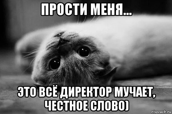 Извини найди пожалуйста