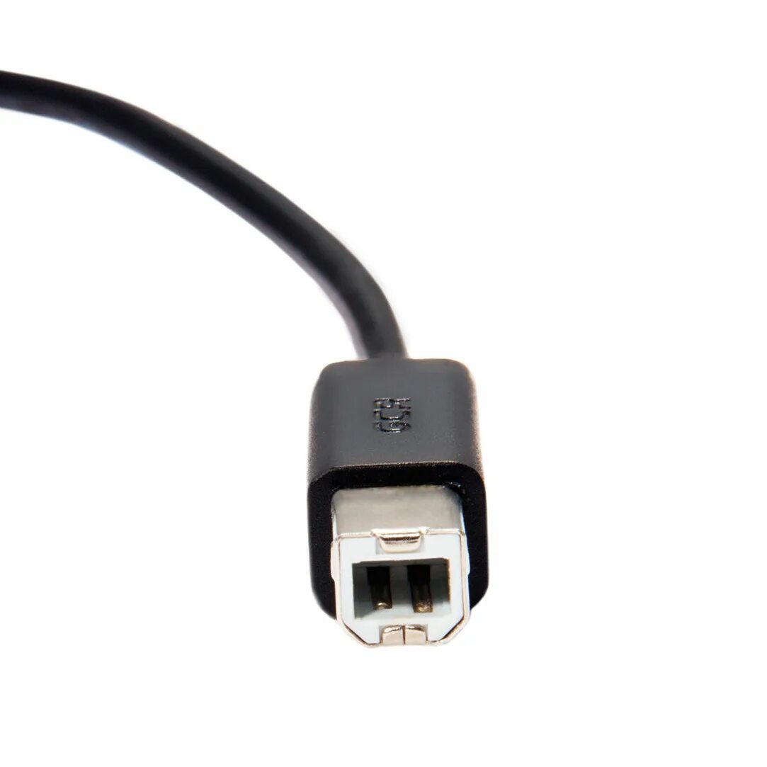 Type b купить. Разъем USB 2.0 для принтера Type b. Кабель USB2.0 Type c - Micro b.. USB B 3.0 USB B 2.0 переходник. GCR кабель USB 2.0 0.3M am/am черный, 28/28 AWG.