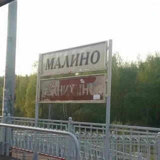 Малино зеленоград