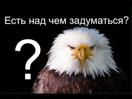 Китай нам есть над чем задуматься видео