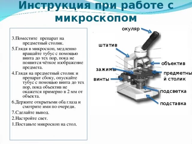Лабораторная работа изучение микроскопа