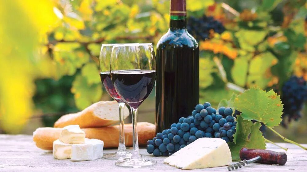 Вкус вина помогает. Виноградники Саперави Кахетия. Вино имидж. Обои на рабочий стол вино в саду.