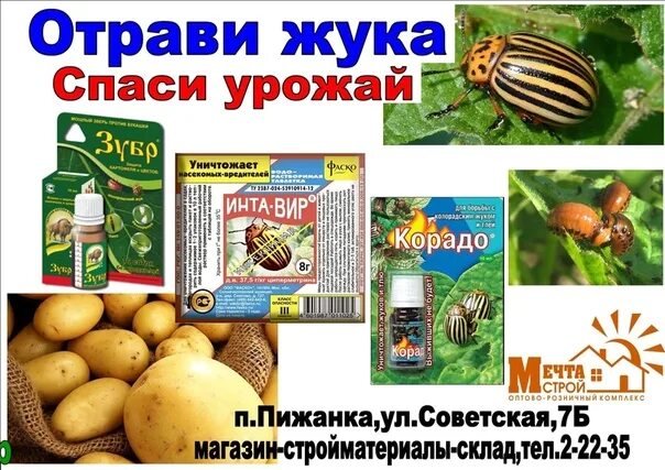 Самая эффективная отрава от колорадского. Отрава для колорадского жука. средство жук от колорадского жука. отрава от колорадского жука и личинок.