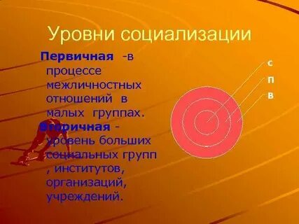 Уровни социализации
