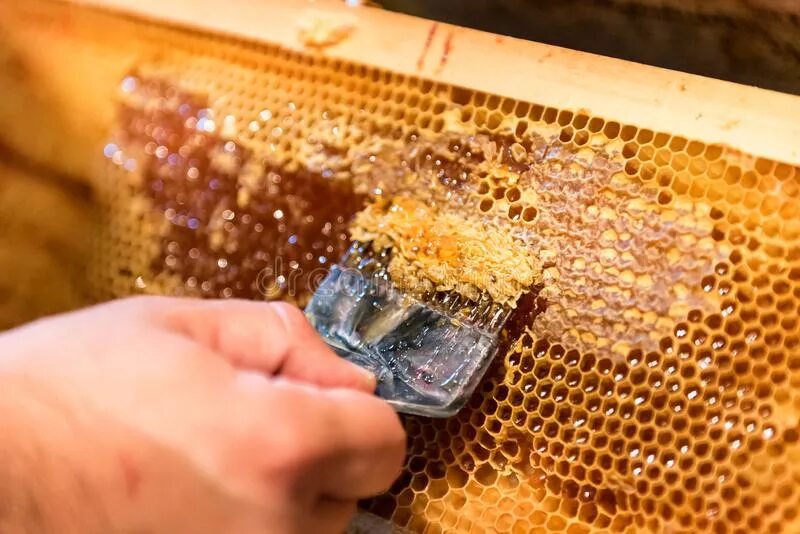 Снять соты. Как окуривают пчел. Пчелы в улье. Медовый забрус. Пчелиный улей.