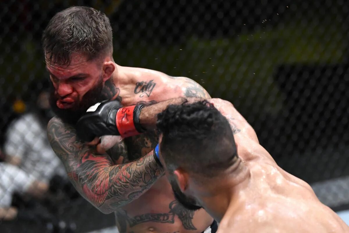 Гарбрандт. Коди Гарбрандт юфс. UFC Cody Garbrandt. Коди Гарбрандт Роб фонт. Роб фонт UFC.