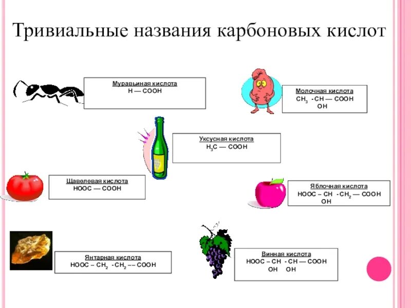 Применение карбоновых кислот схема. Тривиальные названия карбоновых кислот 10 класс. Карбоновые кислоты презентация. Презентация на тему карбоновые кислоты. Урок по теме карбоновые кислоты