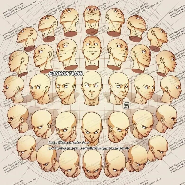 Detailed reference. Рисунок головы в разных ракурсах. Голова человека в разных ракурсах. Голова человека ракурсы. Лицо с разных ракурсов.