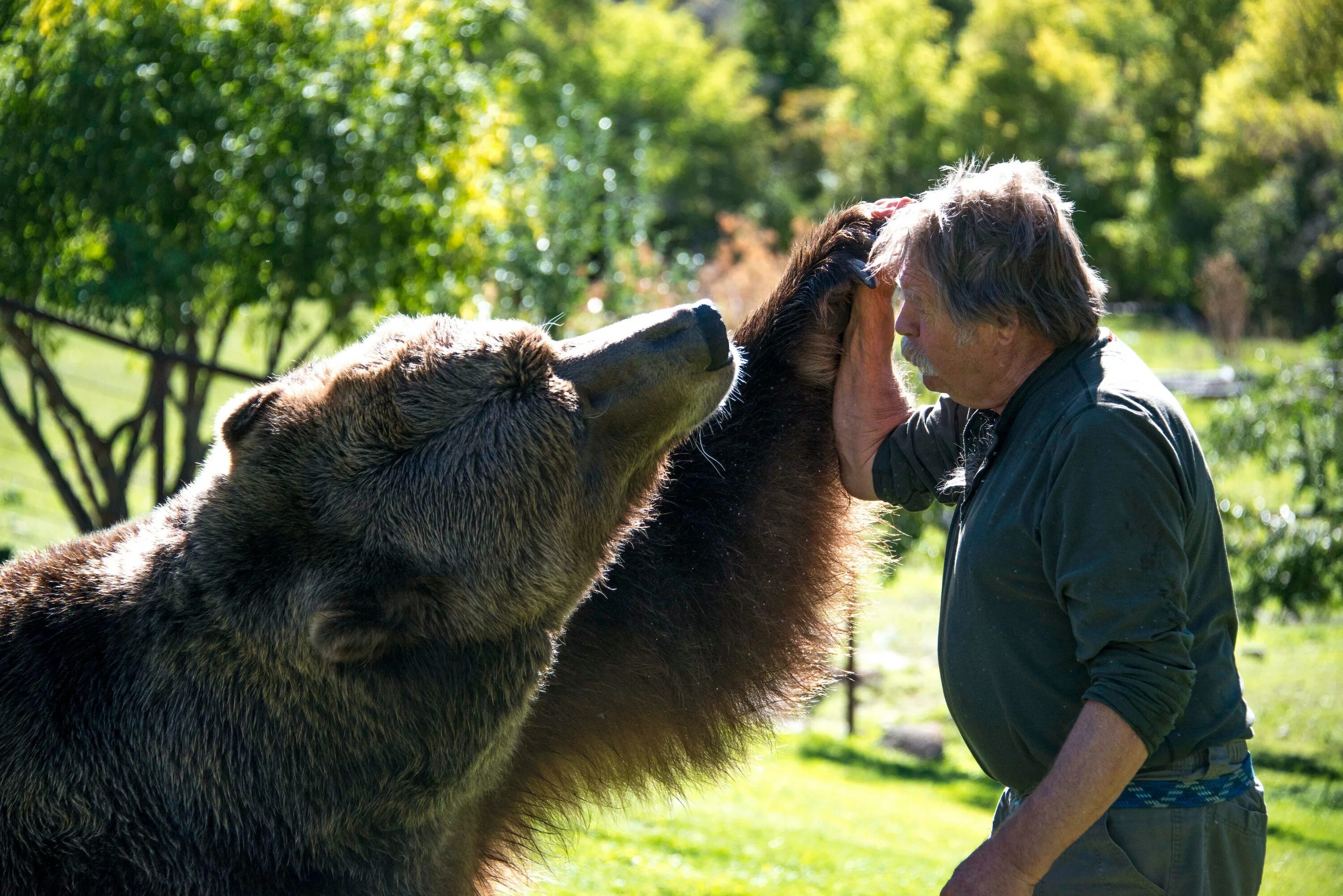 Make the bear