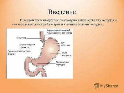 Функции привратника