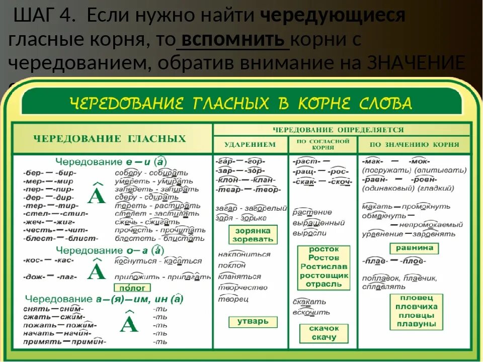 В каком классе проходят правописание