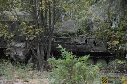 Грау 1600