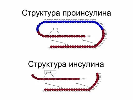 Элемент входит в состав инсулина