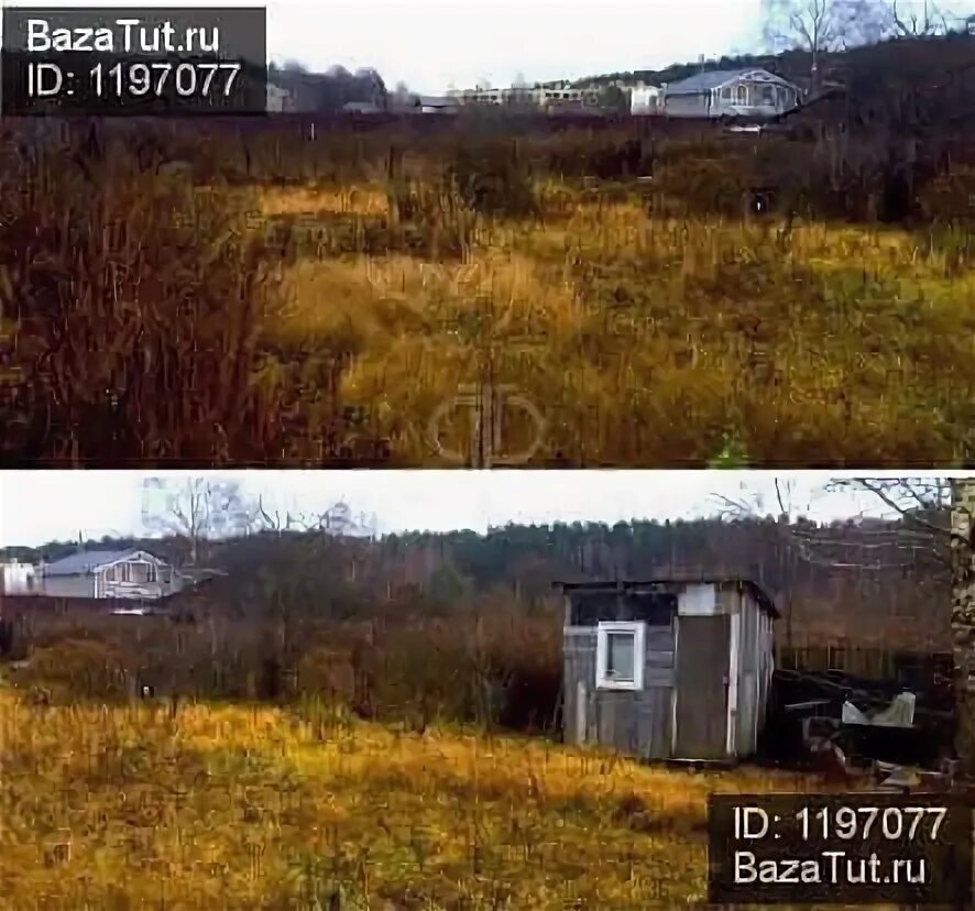 Деревня воронки московская область