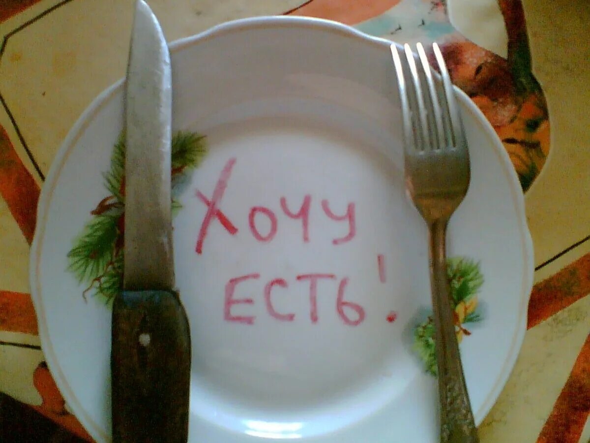 Кушать нету. Обед прикол. очень хочется кушать. шутки про обед. обед картинки прикольные.