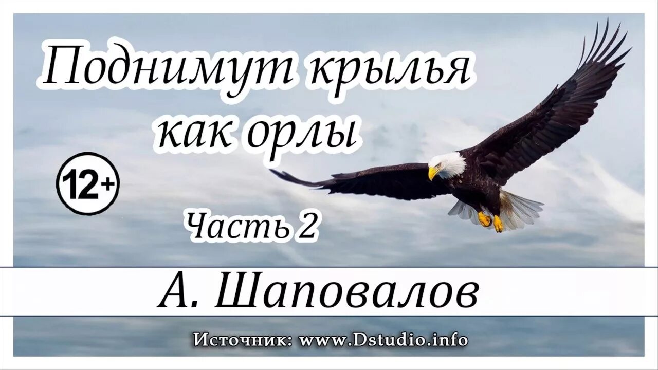 Поднимут крылья как орлы. А надеющиеся на господа обновятся в силе поднимут крылья как орлы. «поднимут крылья, как орлы» (ис. 40:31). поднимут крылья как.