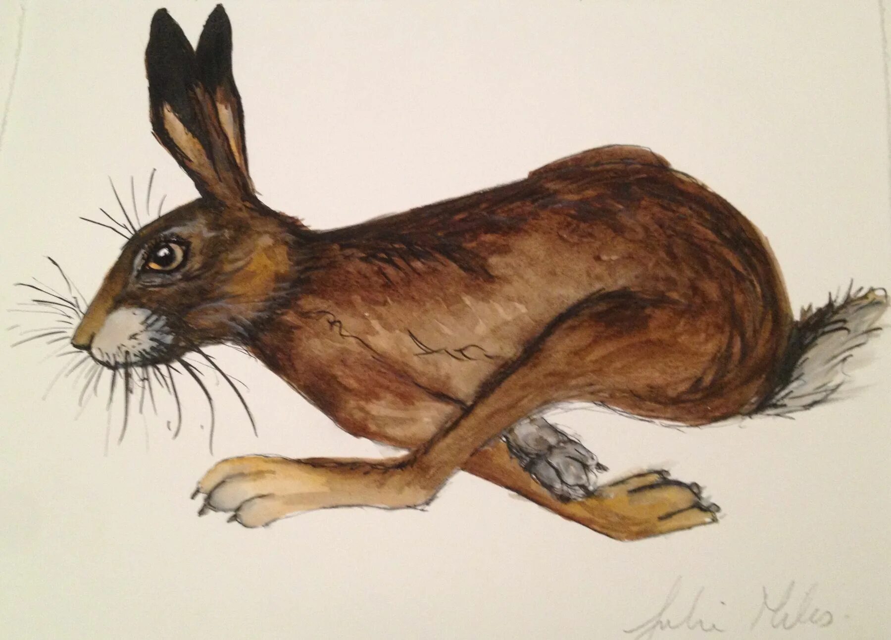 Заяц бежит. Рисование заяц бежит. Бегущий заяц рисунок. Нарисованный кролик бежит.