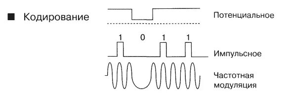 Потенциальный код. Потенциальное кодирование. Потенциальный и импульсный код. Импульсное кодирование. Потенциальные и импульсные сигналы.