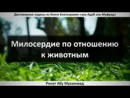 Урок благонравия глава первая она