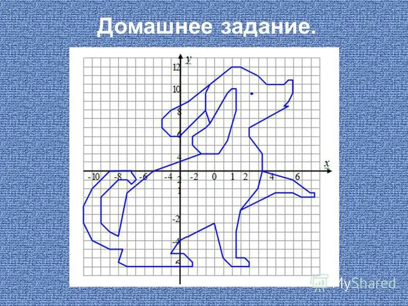 Где на координатной плоскости расположены точки