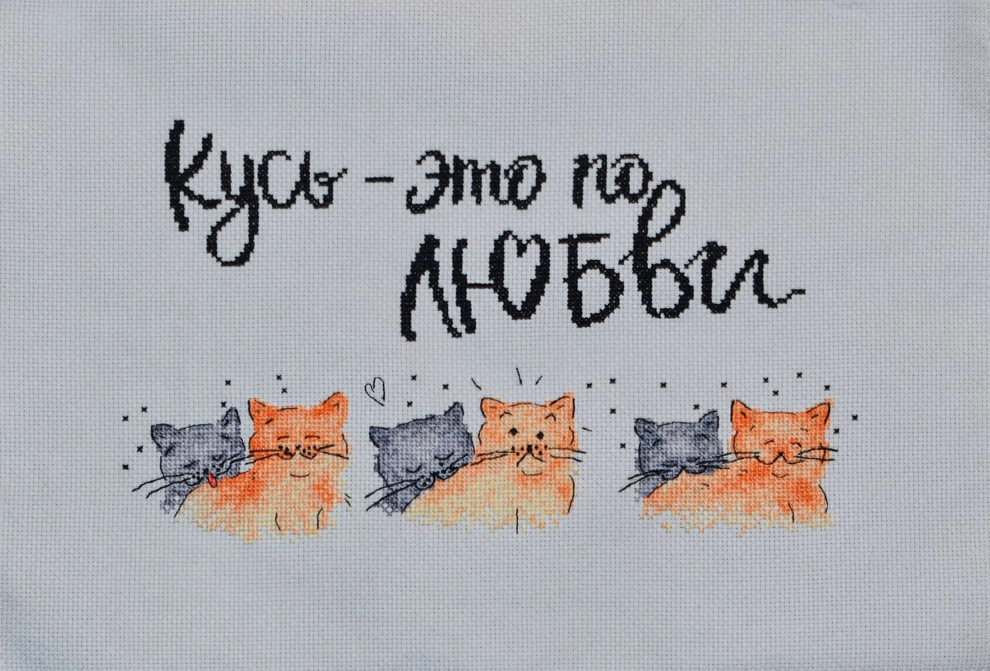 Кусь это по любви надпись. Подушка кусь. Любовь это кусь. Подушка кусь. Любимому котику.