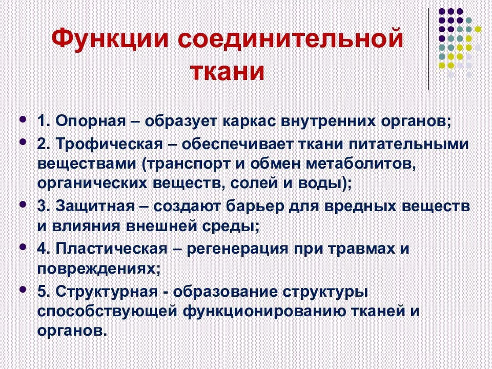 Функция соединительной ткани в мышцах. Функции соединительной ткани. Функции соединительной ткани биохимия. Все функции соединительной ткани. Функции соедегмтельнойткани.