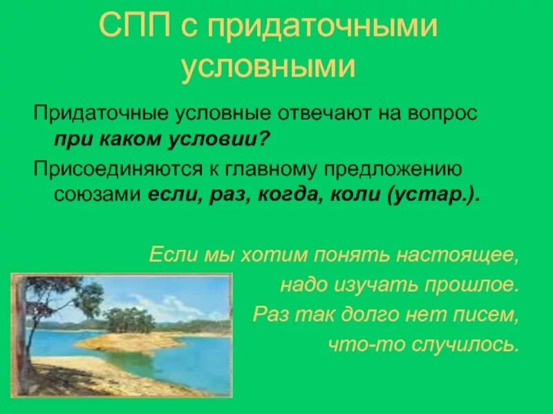 Сложноподчиненное предложение условные