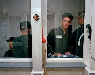Порядки в колониях