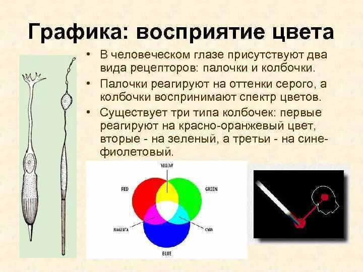 Цветное изображение обеспечивают
