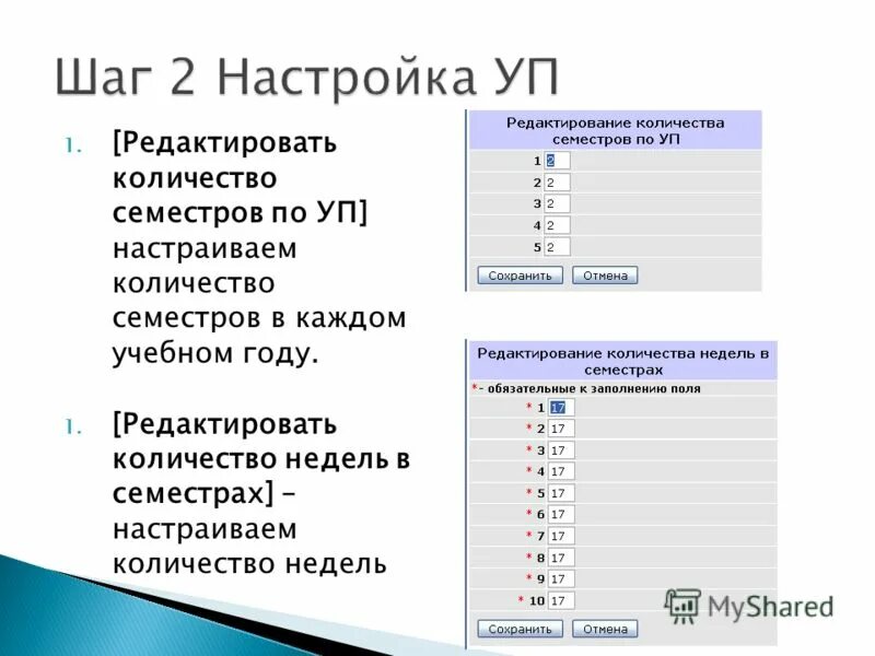 Сколько семестров в вузе