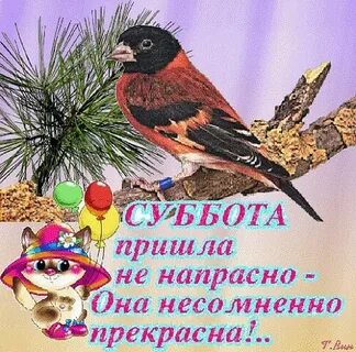 Точно прекрасный