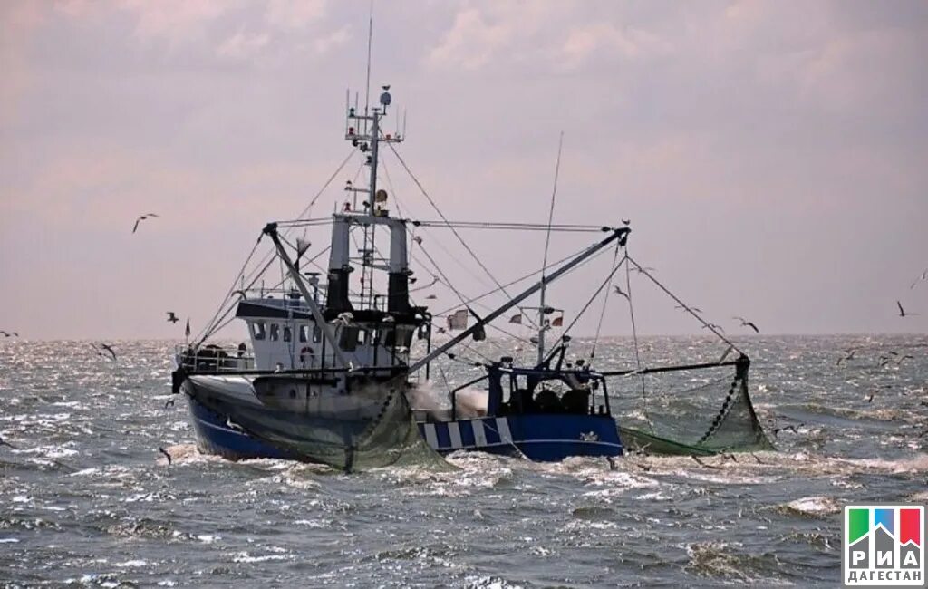 Рыболовецкое судно в черном море. Рыболовецкий флот Азовского моря. Рыбный промысел в Азовском море. Рыбацкое судно Азовское море. Рыба траулер