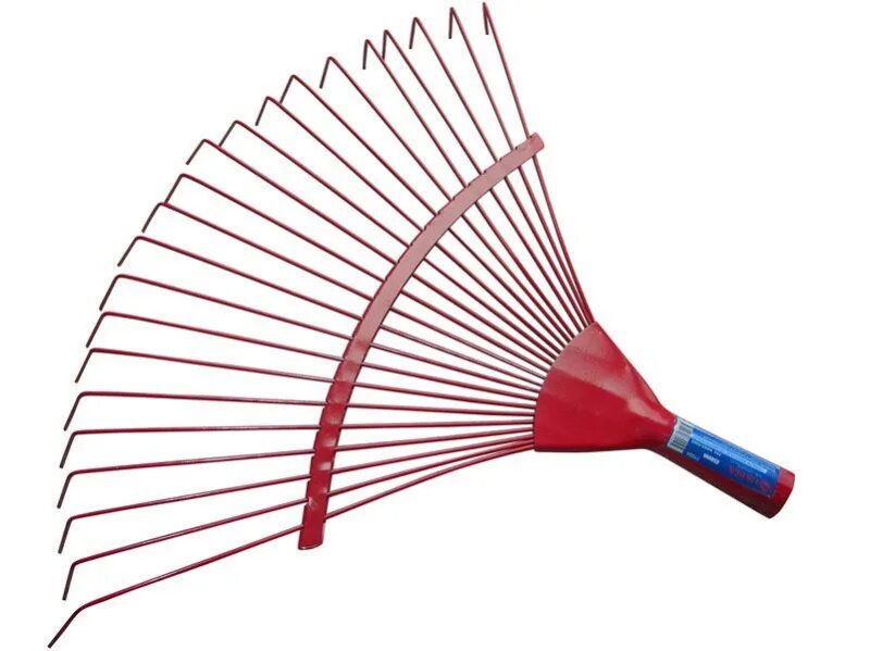 Пальма ликуала. Веерная 12 корп 1. Веерная область. Москва, веерная улица, 12к2. Веерная улица 12к2.