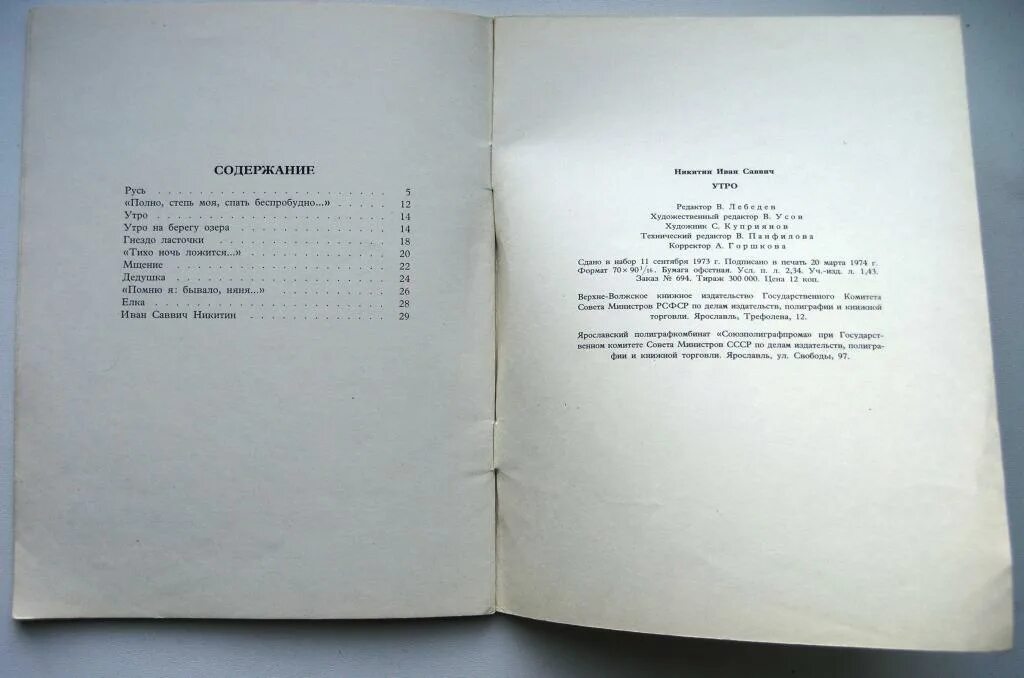 Утро Никитин читать. Стихотворение с.черный домик в саду. Саша чёрный домик в саду. Утро на берегу озера Никитин.