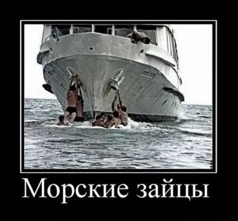 Смешные Картинки Морячков - 66 фото