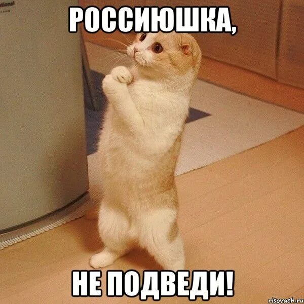 Ладно давай иди. Ладно давай иди