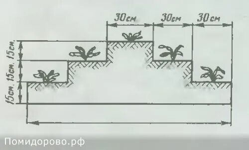 Грядка клубники схема. Чертёж грядки для клубники. Грядка пирамида для клубники чертеж с размерами. Ярусная грядка для клубники. Грядка для земляники размер.