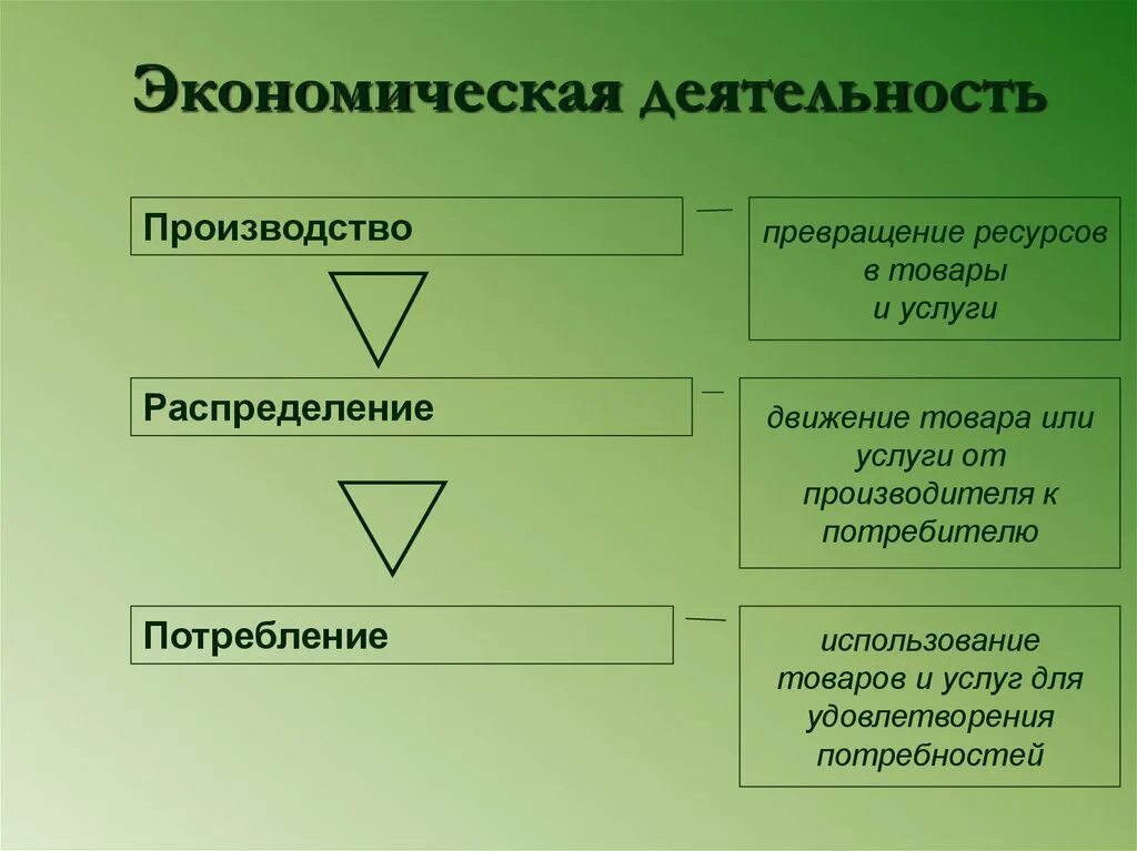 Экономические и производственные изменения в. Виды экономическойдетельности. Фиды экономической жеткльности. Экономическая деятельность. Виды экономисческрймдеятельности..