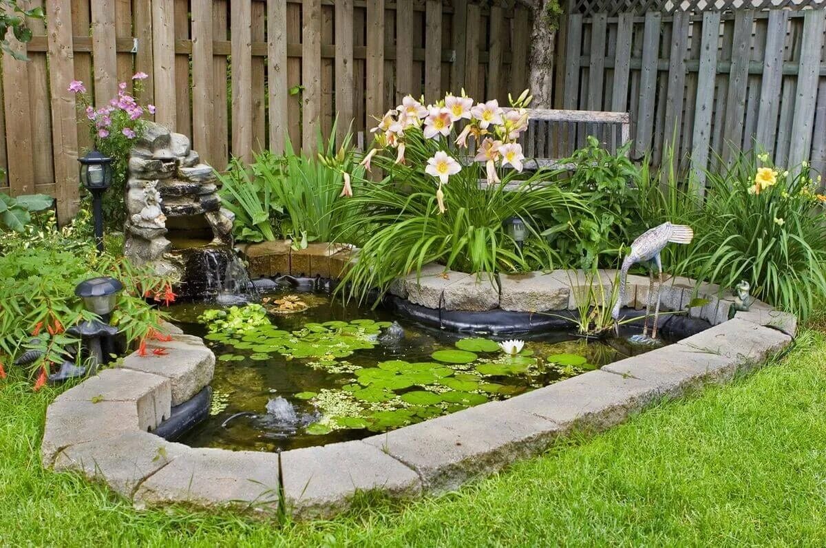 Ландшафтный дизайн дачного участка своими: фото и идеи оформления Fish pond gard