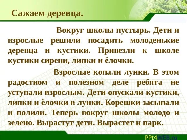 Не посаженные деревья как пишется